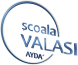 Valasi